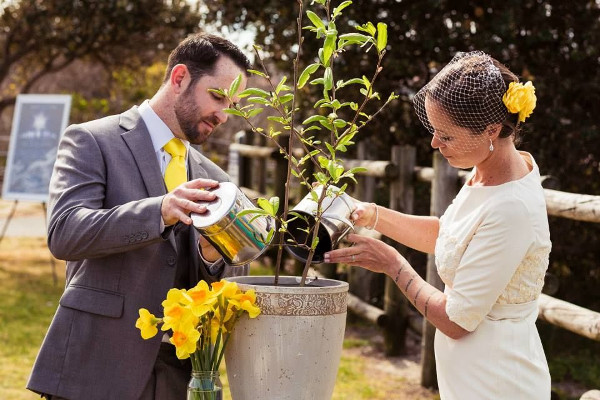 The tree planting ceremony