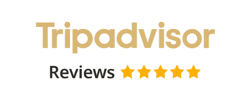 Five-star Tripadvisor reviews for the Antonio Colonna atelier.