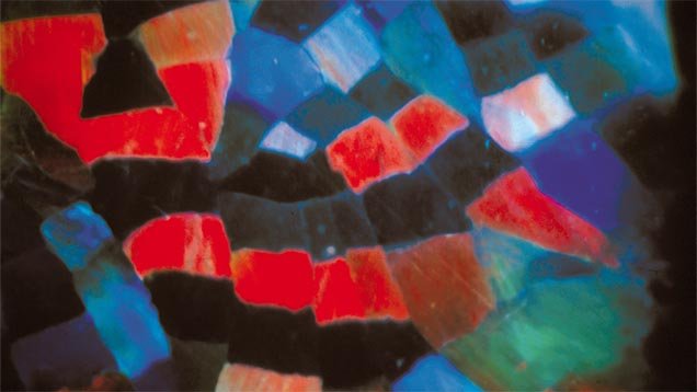 Dettaglio ravvicinato di pattern harlequin in opale nero